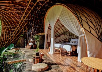 Sustainable Stays: Eco-Friendly Resorts